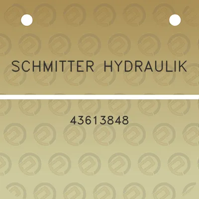 schmitter-hydraulik-43613848