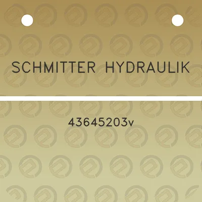 schmitter-hydraulik-43645203v