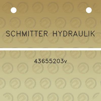 schmitter-hydraulik-43655203v