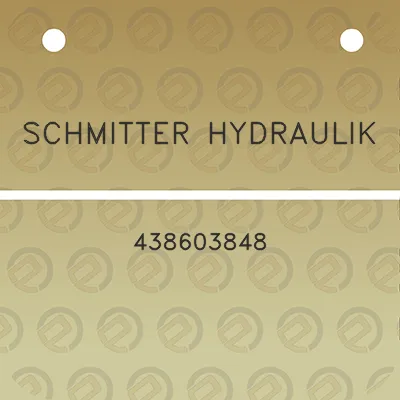 schmitter-hydraulik-438603848