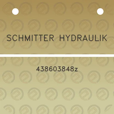 schmitter-hydraulik-438603848z