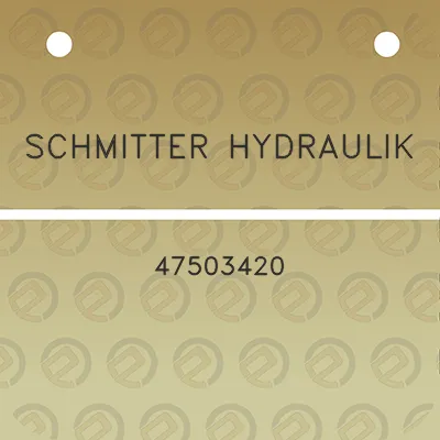 schmitter-hydraulik-47503420