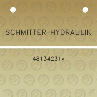 schmitter-hydraulik-48134231v