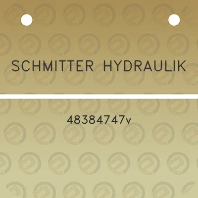 schmitter-hydraulik-48384747v