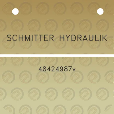 schmitter-hydraulik-48424987v