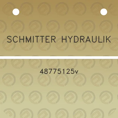 schmitter-hydraulik-48775125v