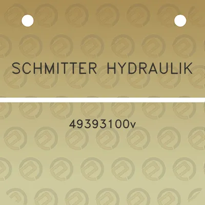 schmitter-hydraulik-49393100v