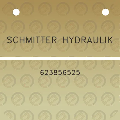 schmitter-hydraulik-623856525