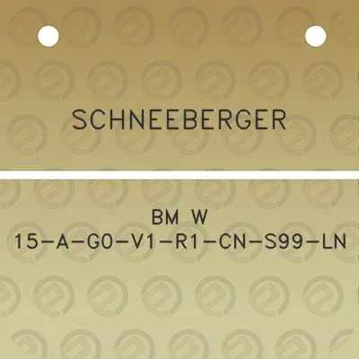 schneeberger-bm-w-15-a-g0-v1-r1-cn-s99-ln