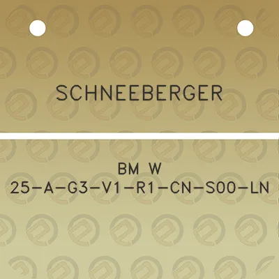 schneeberger-bm-w-25-a-g3-v1-r1-cn-s00-ln