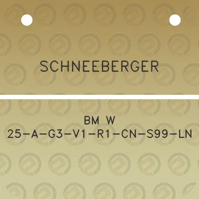 schneeberger-bm-w-25-a-g3-v1-r1-cn-s99-ln