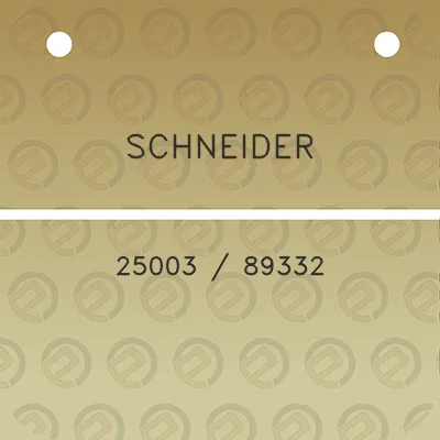 schneider-25003-89332