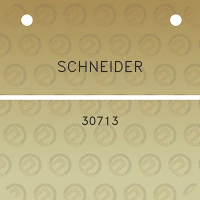 schneider-30713