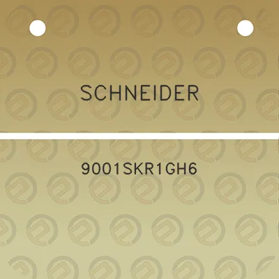 schneider-9001skr1gh6