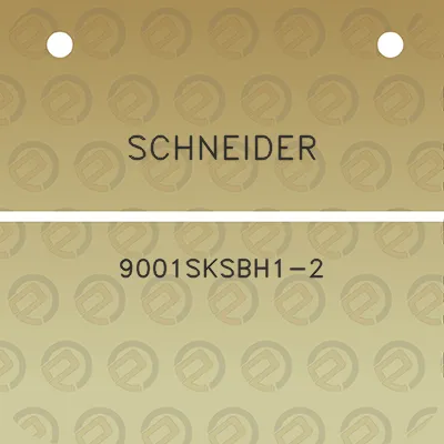 schneider-9001sksbh1-2