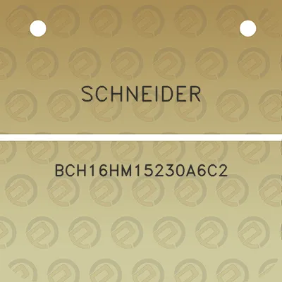 schneider-bch16hm15230a6c2