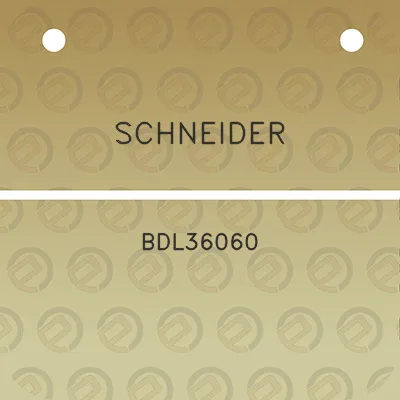 schneider-bdl36060