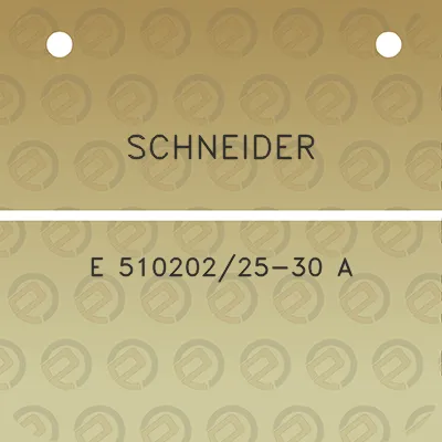 schneider-e-51020225-30-a