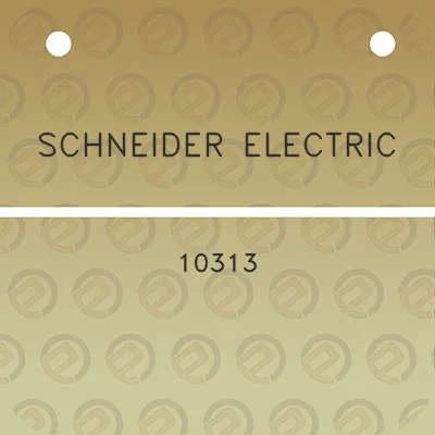 schneider-electric-10313