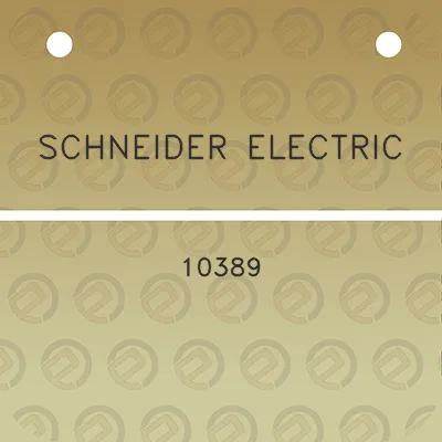 schneider-electric-10389