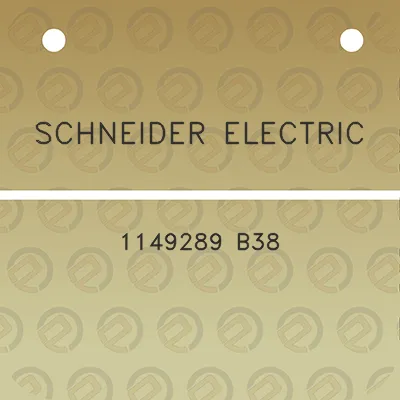 schneider-electric-1149289-b38