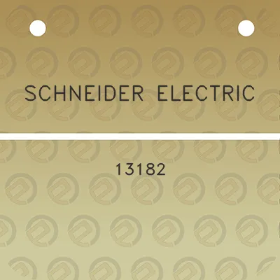 schneider-electric-13182