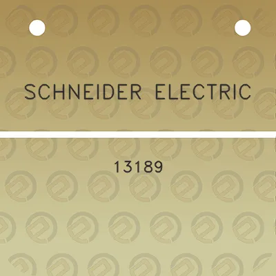 schneider-electric-13189