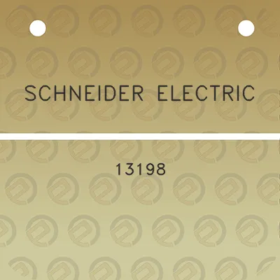 schneider-electric-13198