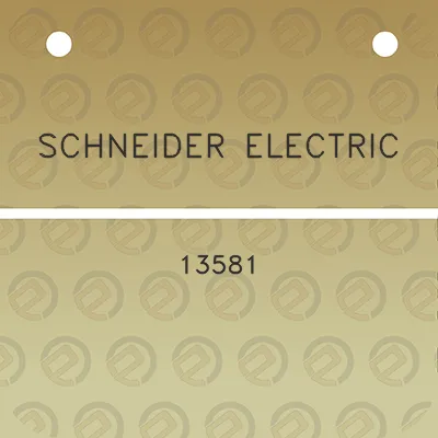 schneider-electric-13581