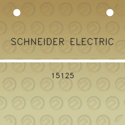 schneider-electric-15125