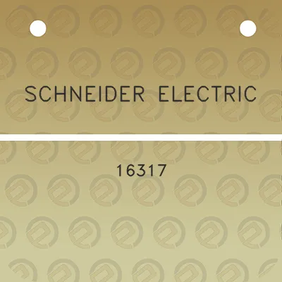 schneider-electric-16317