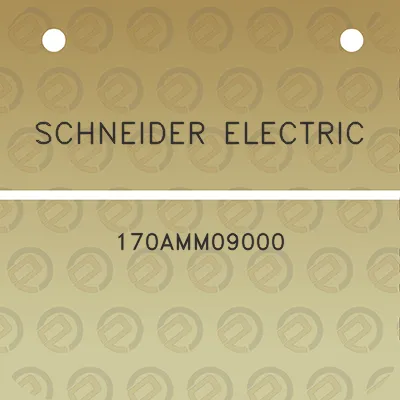 schneider-electric-170amm09000