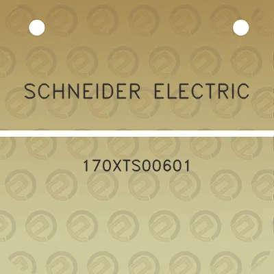 schneider-electric-170xts00601