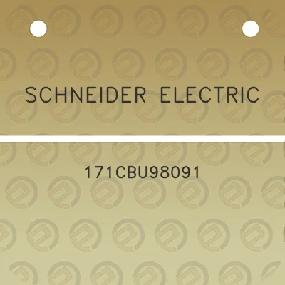 schneider-electric-171cbu98091