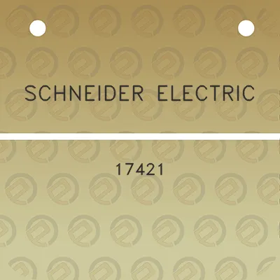 schneider-electric-17421