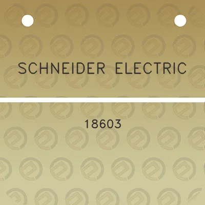 schneider-electric-18603