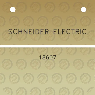 schneider-electric-18607