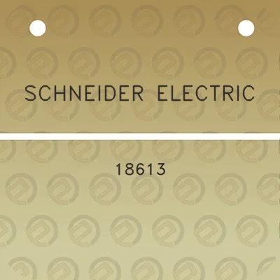 schneider-electric-18613