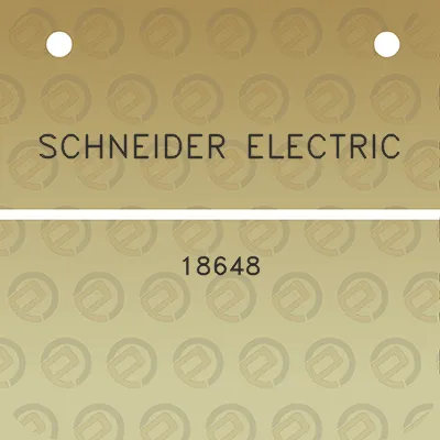 schneider-electric-18648