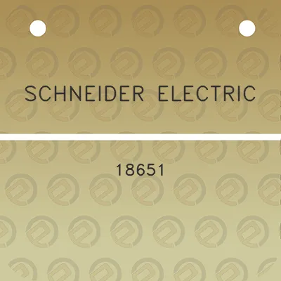 schneider-electric-18651