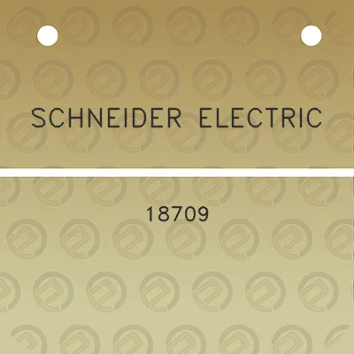 schneider-electric-18709