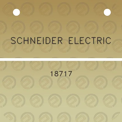 schneider-electric-18717