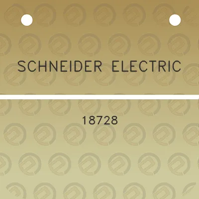 schneider-electric-18728