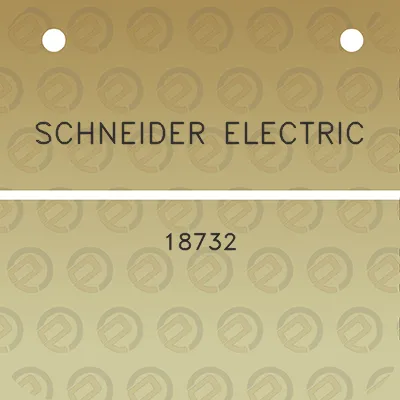 schneider-electric-18732