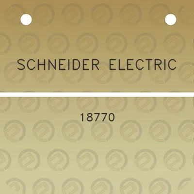 schneider-electric-18770