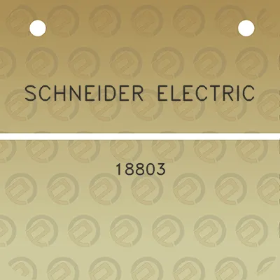 schneider-electric-18803