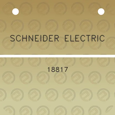 schneider-electric-18817