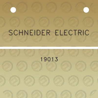 schneider-electric-19013