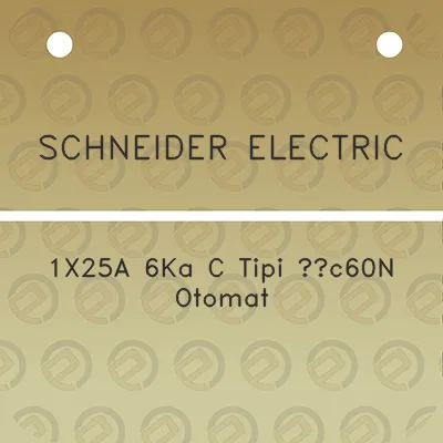 schneider-electric-1x25a-6ka-c-tipi-ic60n-otomat