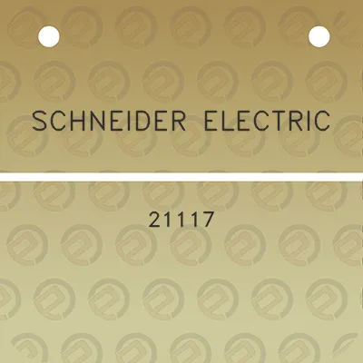 schneider-electric-21117